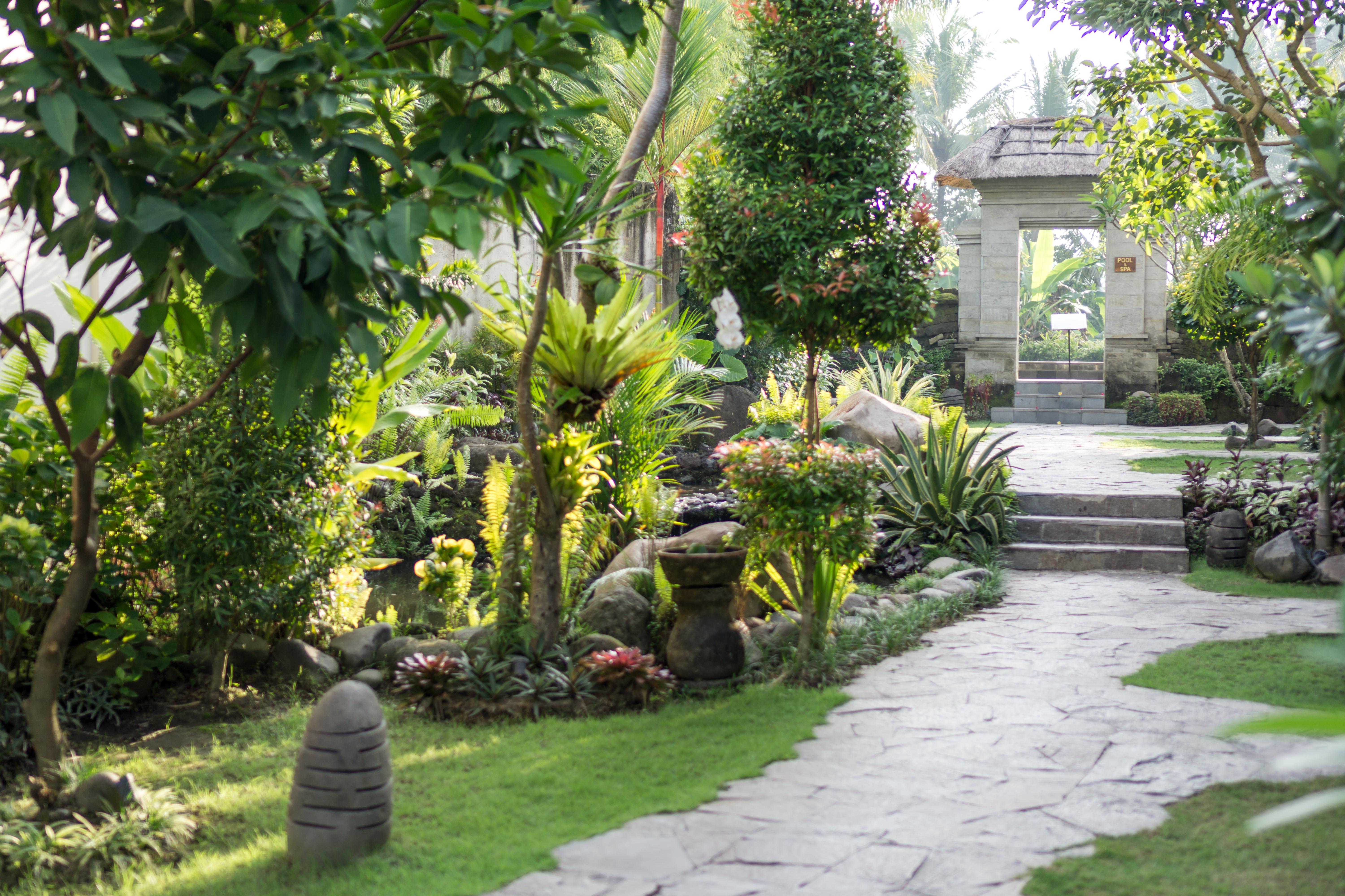 Radha Phala Resort & Spa Ουμπούντ Εξωτερικό φωτογραφία