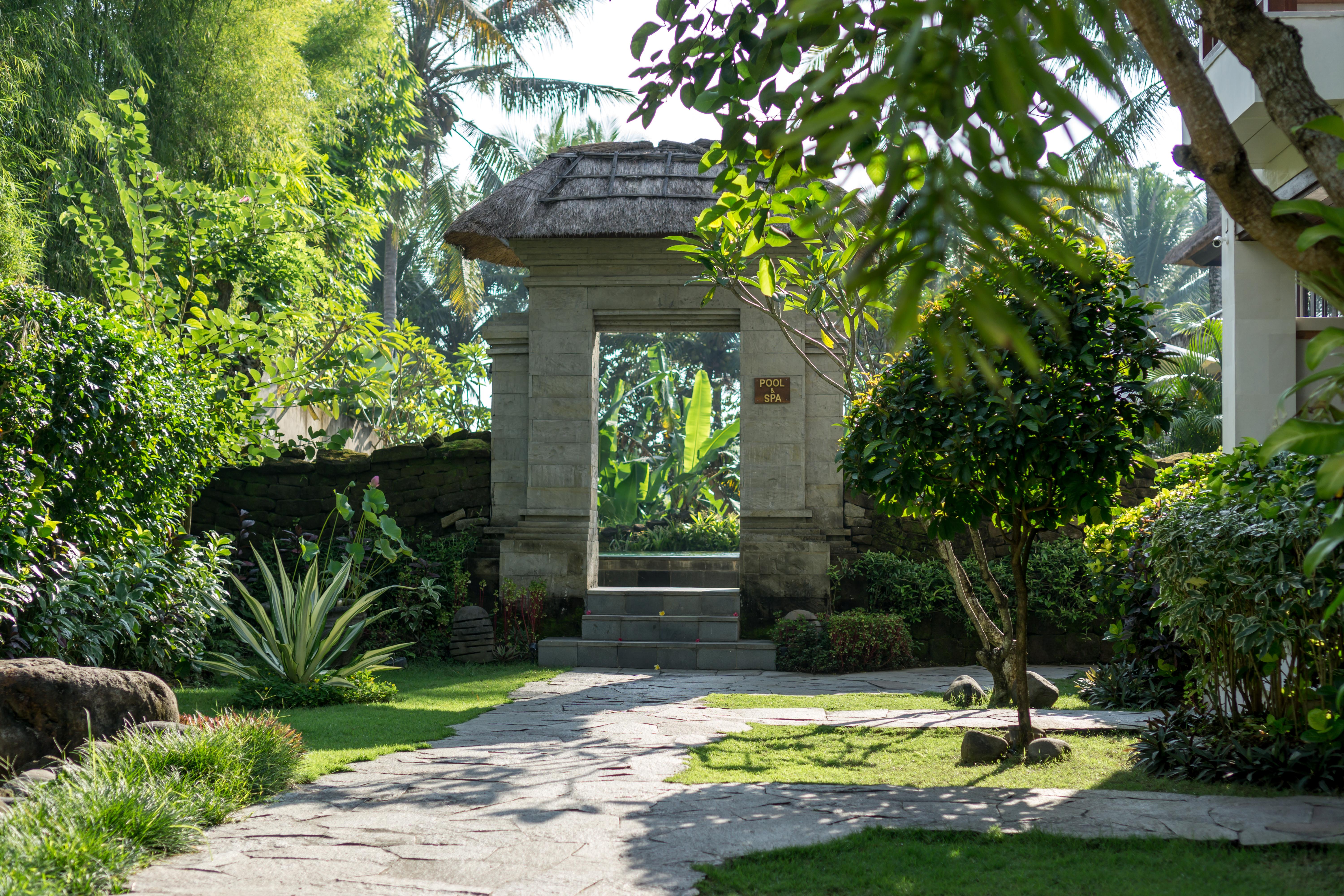 Radha Phala Resort & Spa Ουμπούντ Εξωτερικό φωτογραφία